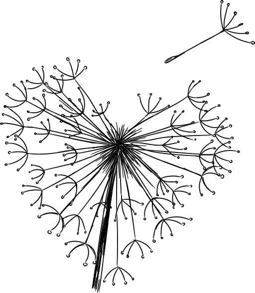 Décès
