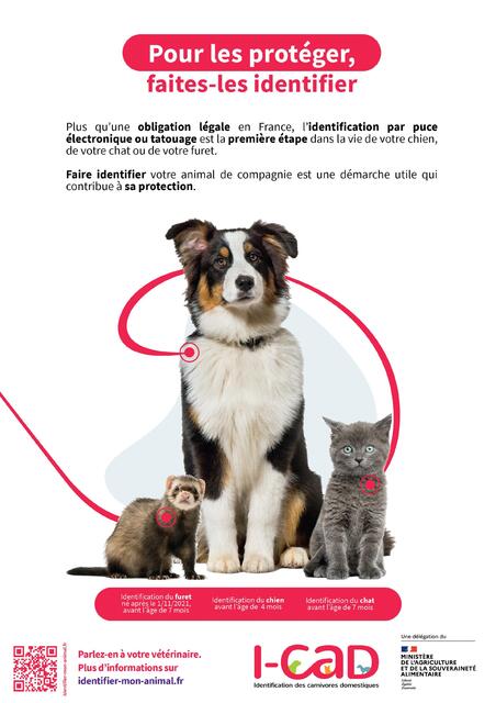 2022.Affiche.Identification.ChienChatFuret-1