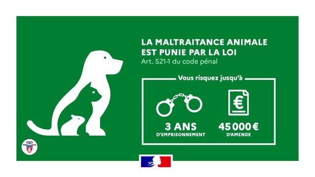 Maltraitance-animale